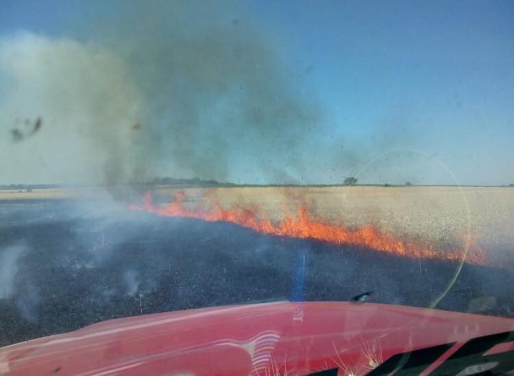 incendio campo nogoyá 1