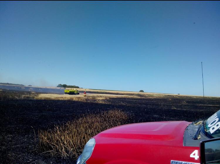 incendio campo nogoyá 2