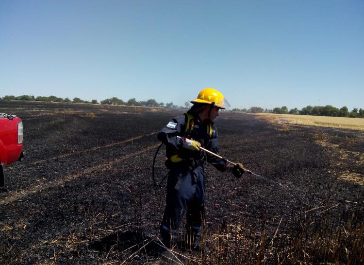 incendio campo nogoyá 3