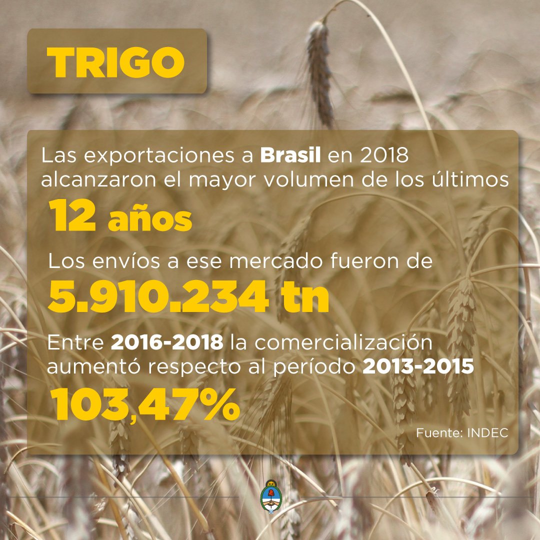 trigo estadisticas 1